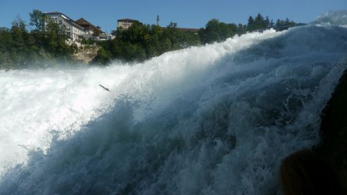 rhine falls schaffhausen waterfall