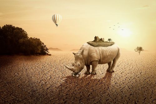 rhino landscape mystical
