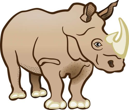 rhino rhinoceros mammal