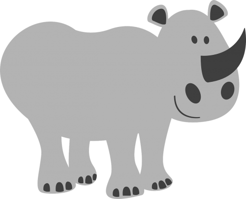 rhino wildlife mammal