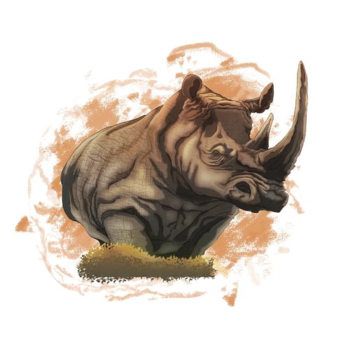 rhino  animal  africa