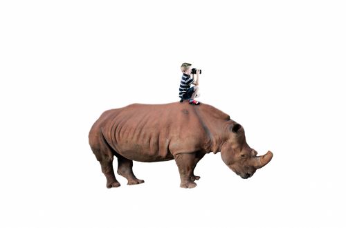 Rhino And Boy
