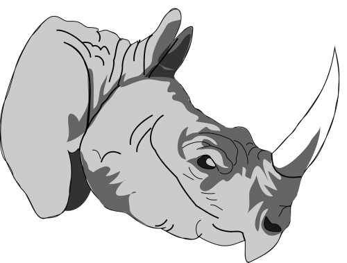 rhinoceros head face