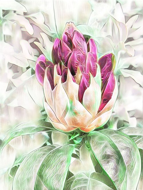rhododendron  digital painting  plant