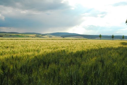 rhön fields bavaria