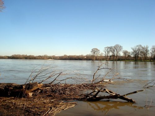 rhône river nature