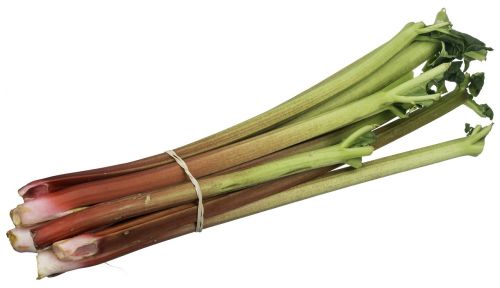 rhubarb fruit food