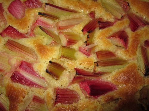 rhubarb cake pastries sweet