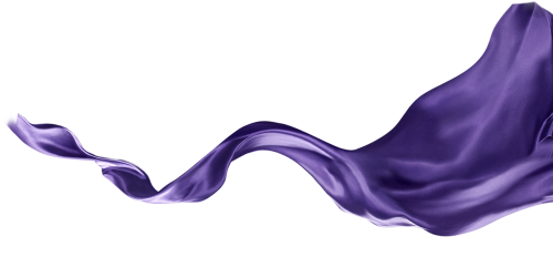 ribbon purple silk