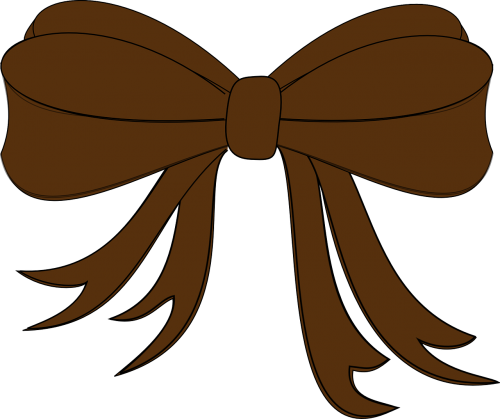 ribbon brown bow
