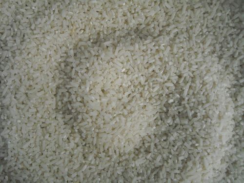 rice white padi