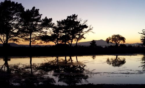 richmond ca evening