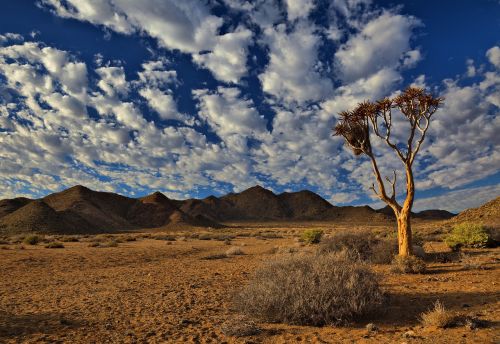richtersveld south africa desert