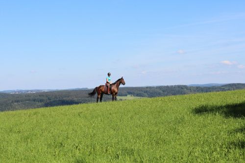 ride equestrian nature