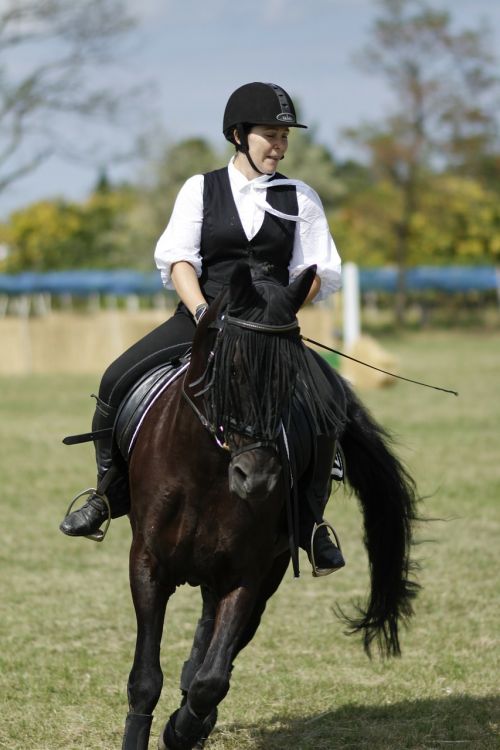 ride equestrian dressage