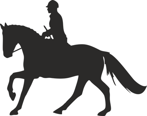 ride  dressage  equestrian