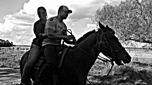 ride landscape horse