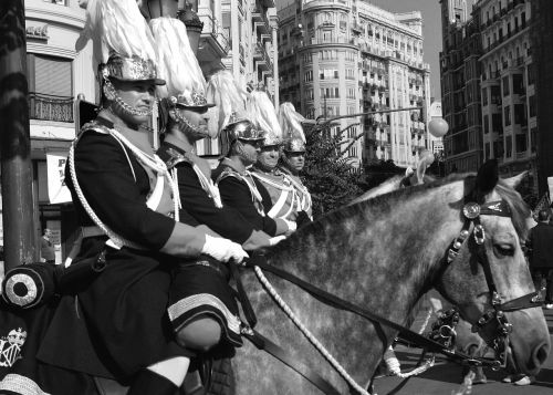 riders horses parade