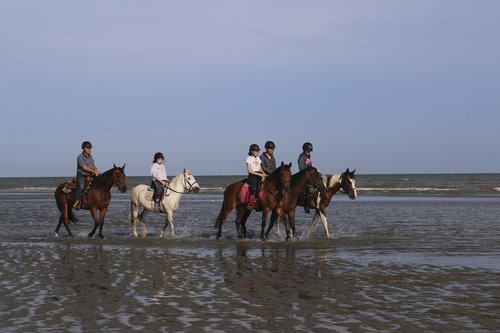 riders  horses  ride