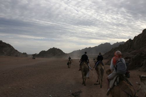 riding camel egypt