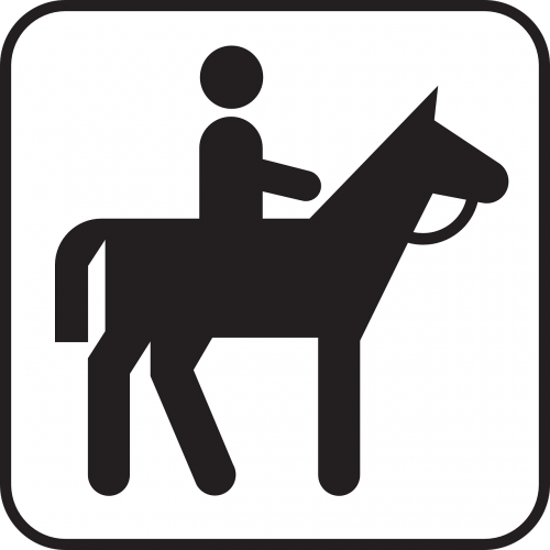 riding horse pony