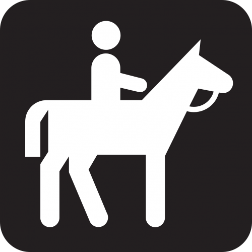 riding horse pony
