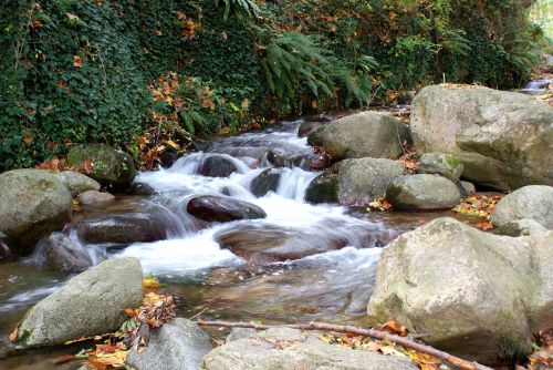 River Arbucias