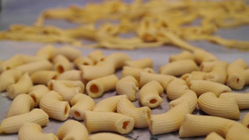 rigatoni pasta noodles