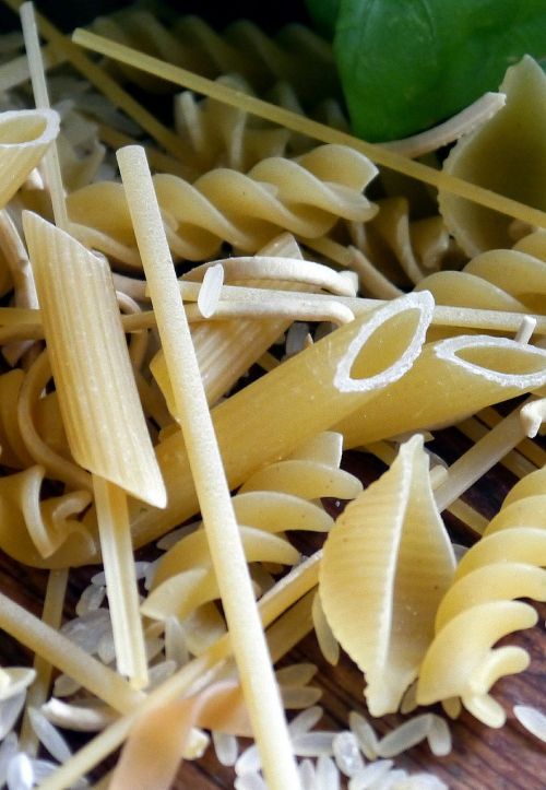 rigatoni pasta spaghetti