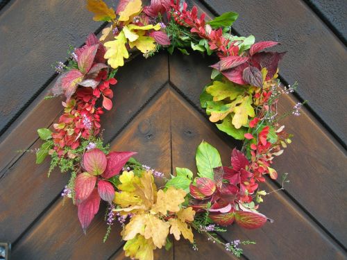 rim autumn leaves colors