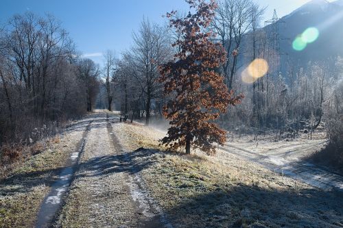 rime austria alps