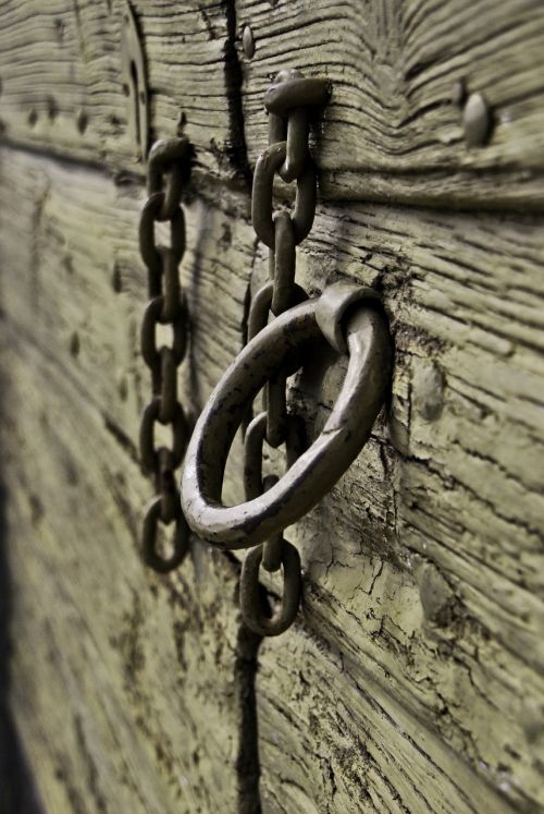 ring door wood