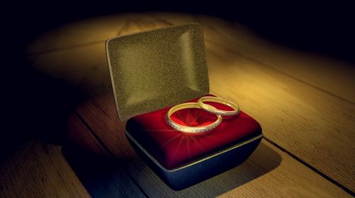 rings velvet 3d