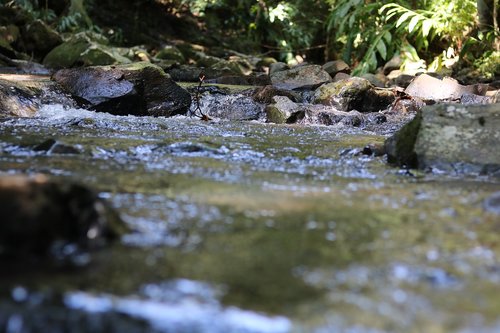 rio  water  nature