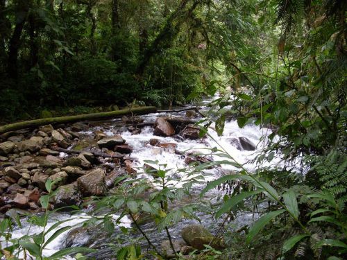 rio landscape nature