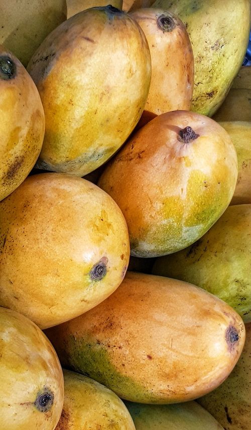 ripe mango fruit