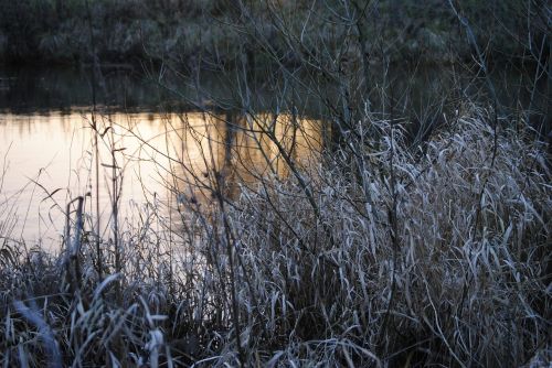 ripe river water