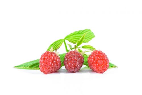 ripe raspberries fruit red