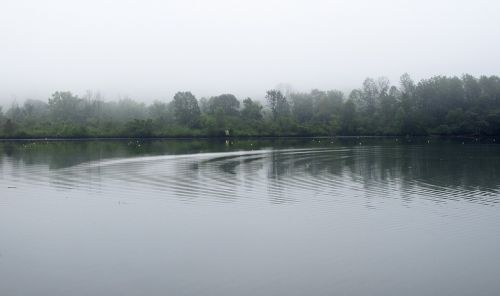 ripples in the water melton lake park in the fog melton lake park