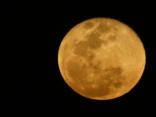 rising moon yellow moon moonlight