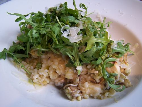 risotto food italian food