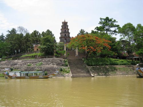 river pagoda tree