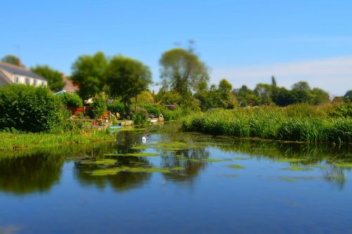 river summer scenic