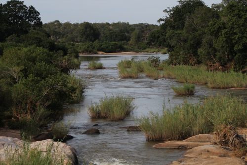 river nature africa