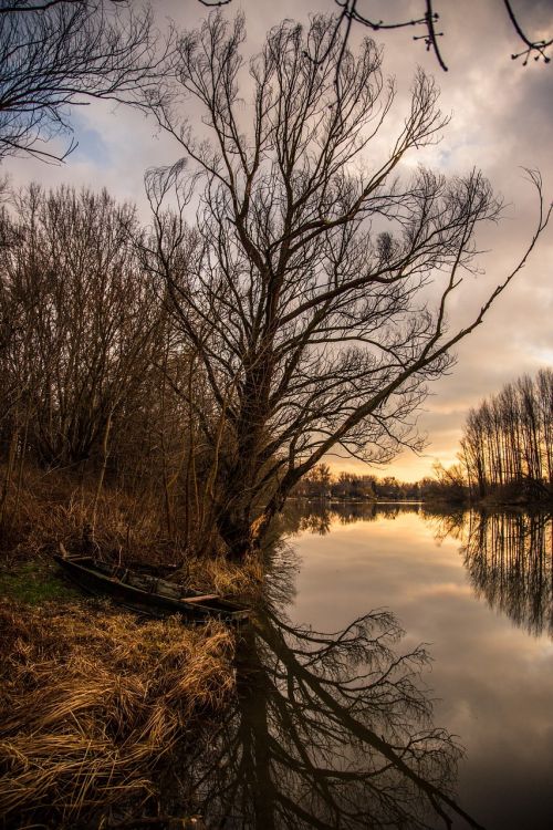 river landscape nature