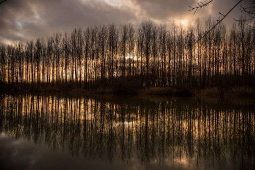 river landscape nature