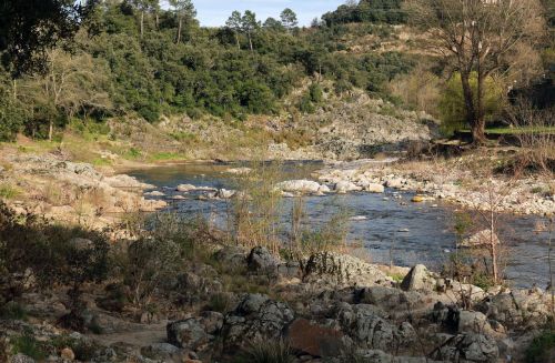 river nature landscape