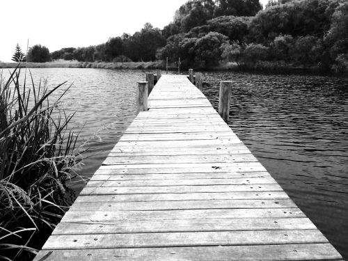 river jetty wood