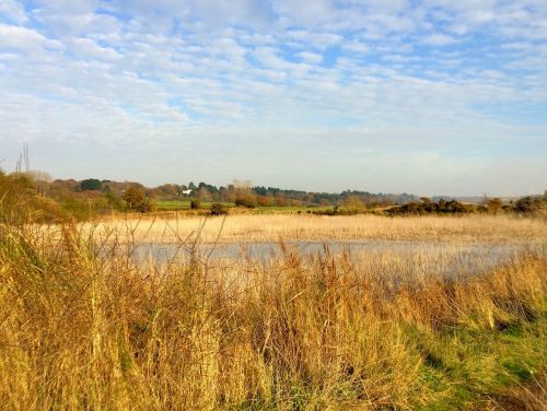 river orwell landscape