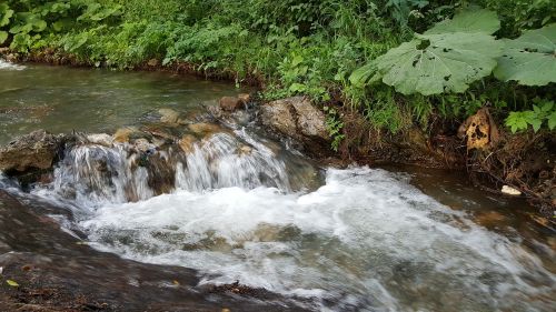 river stream water